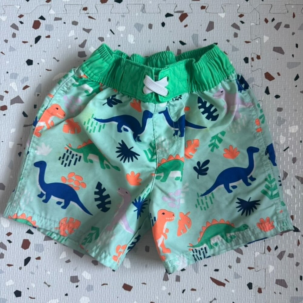 Dinosaur Swim Shorts Trunks